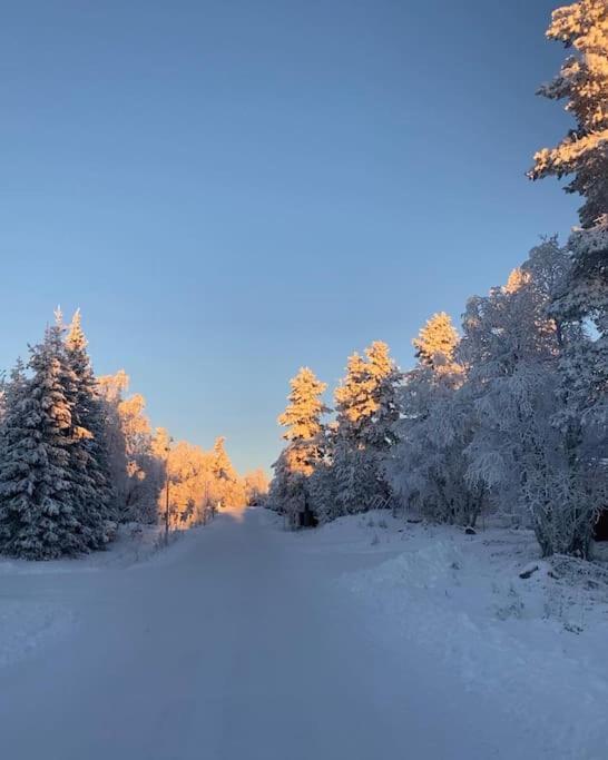 Seitapolku 12 Villa Saariselkä Zewnętrze zdjęcie
