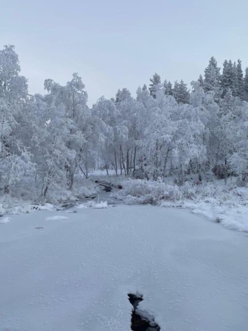 Seitapolku 12 Villa Saariselkä Zewnętrze zdjęcie